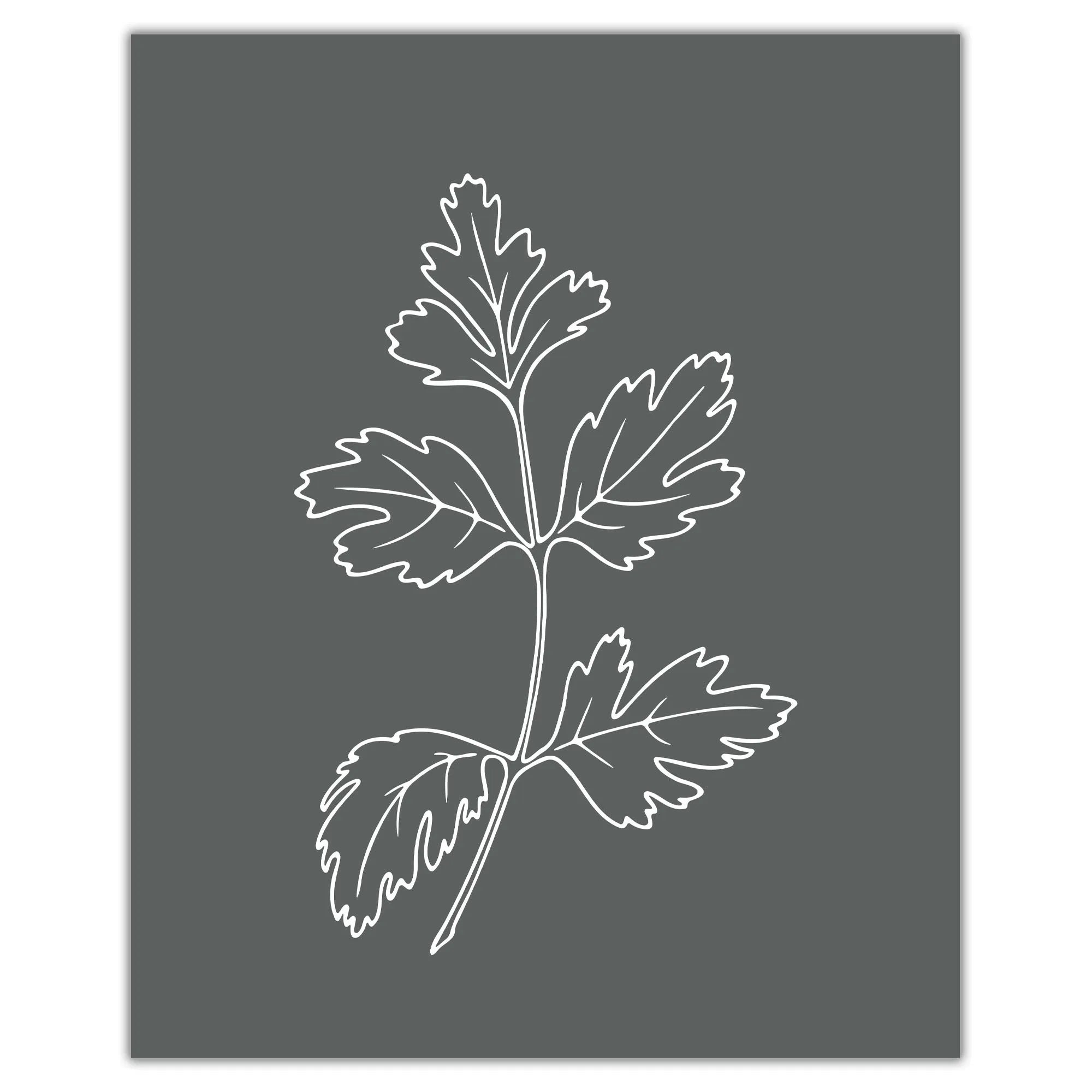 Botanical Herb Silhouettes in Warm Farmhouse Colors