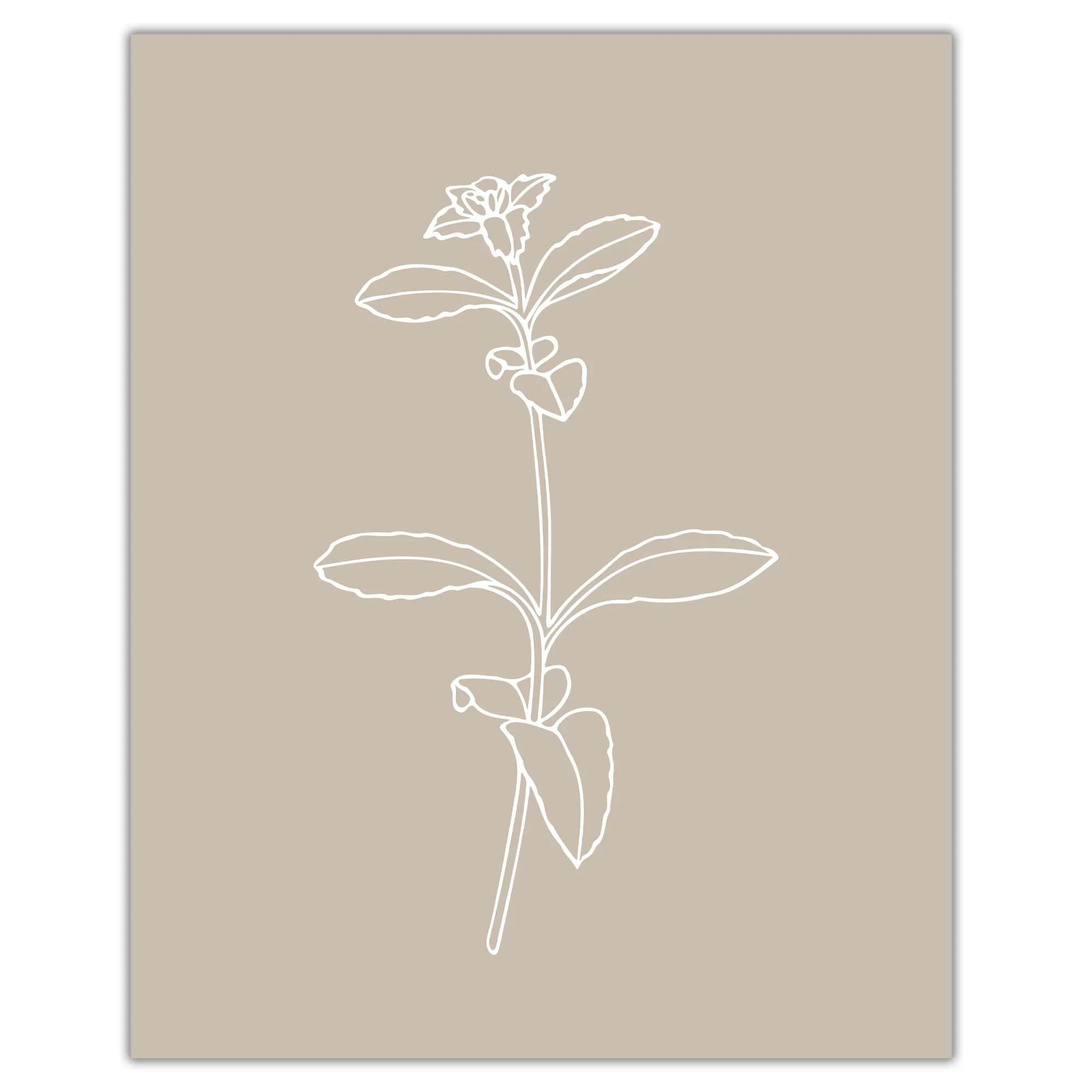 Botanical Herb Silhouettes in Warm Farmhouse Colors