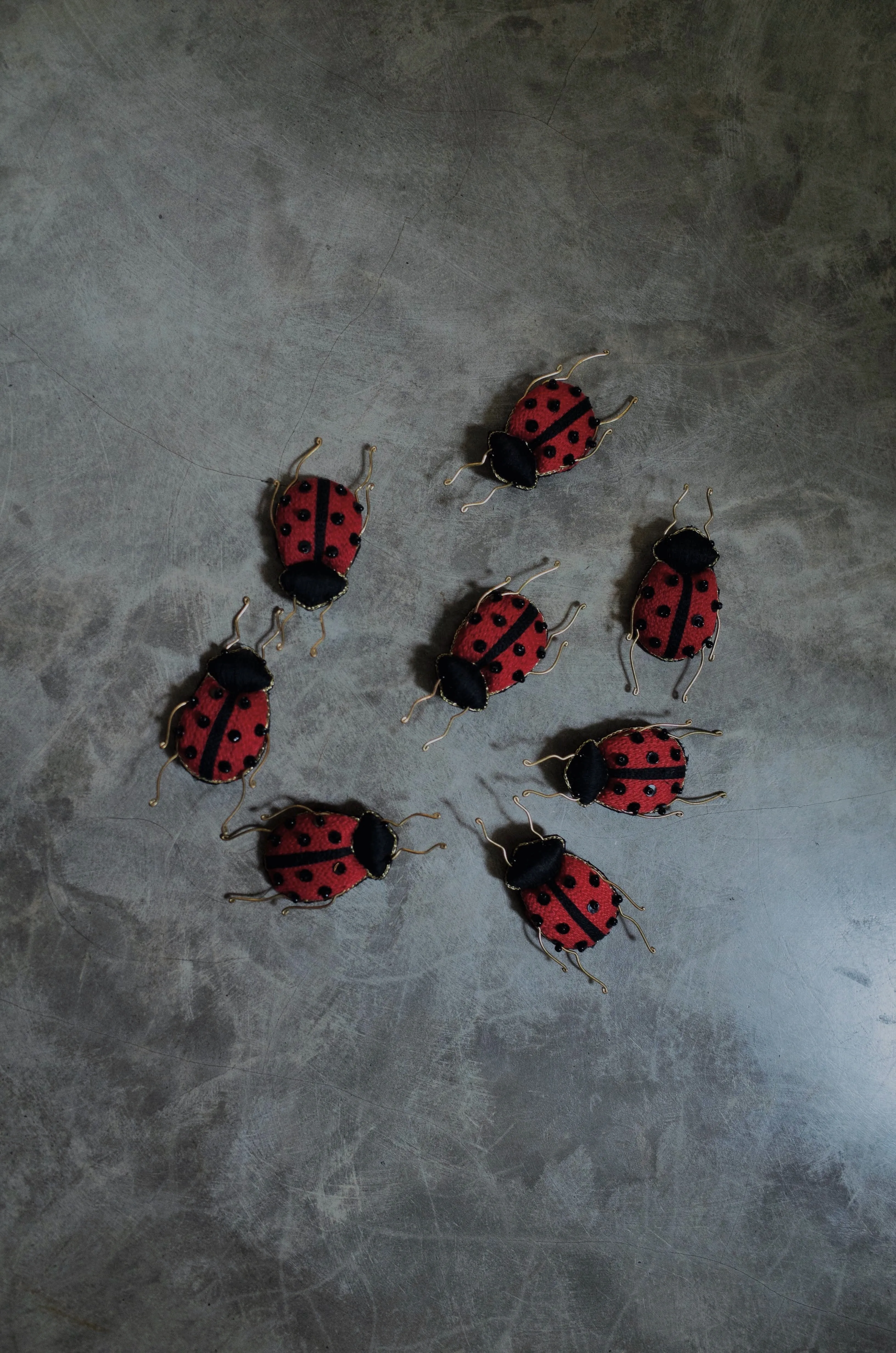 Elena Lady Bug Brooch